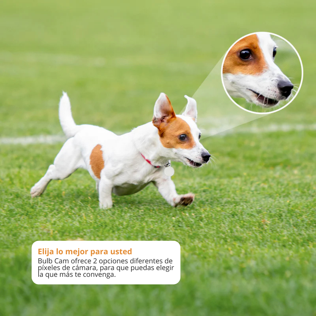  Cámara Bombillo Wifi Pt Robótica Inteligente 3mp Rotación 360, Visión Nocturna 30m, Audio Bidireccional y Resistencia IP66 – IMOU Bulb Cam (IPC-S6DN-3M0WEB)