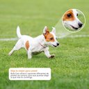  Cámara Bombillo Wifi Pt Robótica Inteligente 3mp Rotación 360, Visión Nocturna 30m, Audio Bidireccional y Resistencia IP66 – IMOU Bulb Cam (IPC-S6DN-3M0WEB)